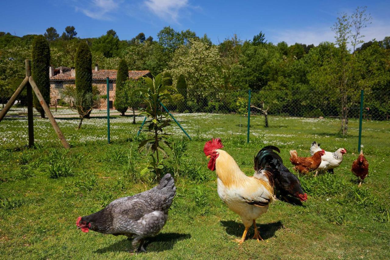 El Celler - Can Bonet San Martí Vell Exteriör bild